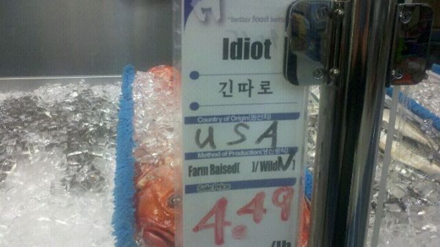 Idiot fish