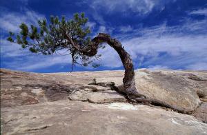 13935d75f6b5b0f242808b0517376fdd